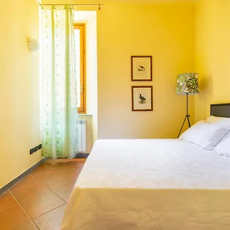 Verdi 11 * Firenze